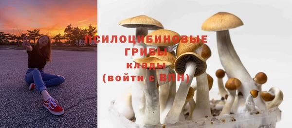 винт Липки