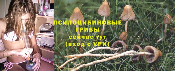 apvp Лихославль
